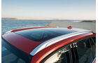 BMW X1, Panorama-Glasdach
