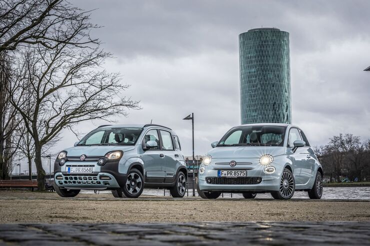 Fiat Panda Und 500 Hybrid Ein Baum Fur Jedes Auto Firmenauto
